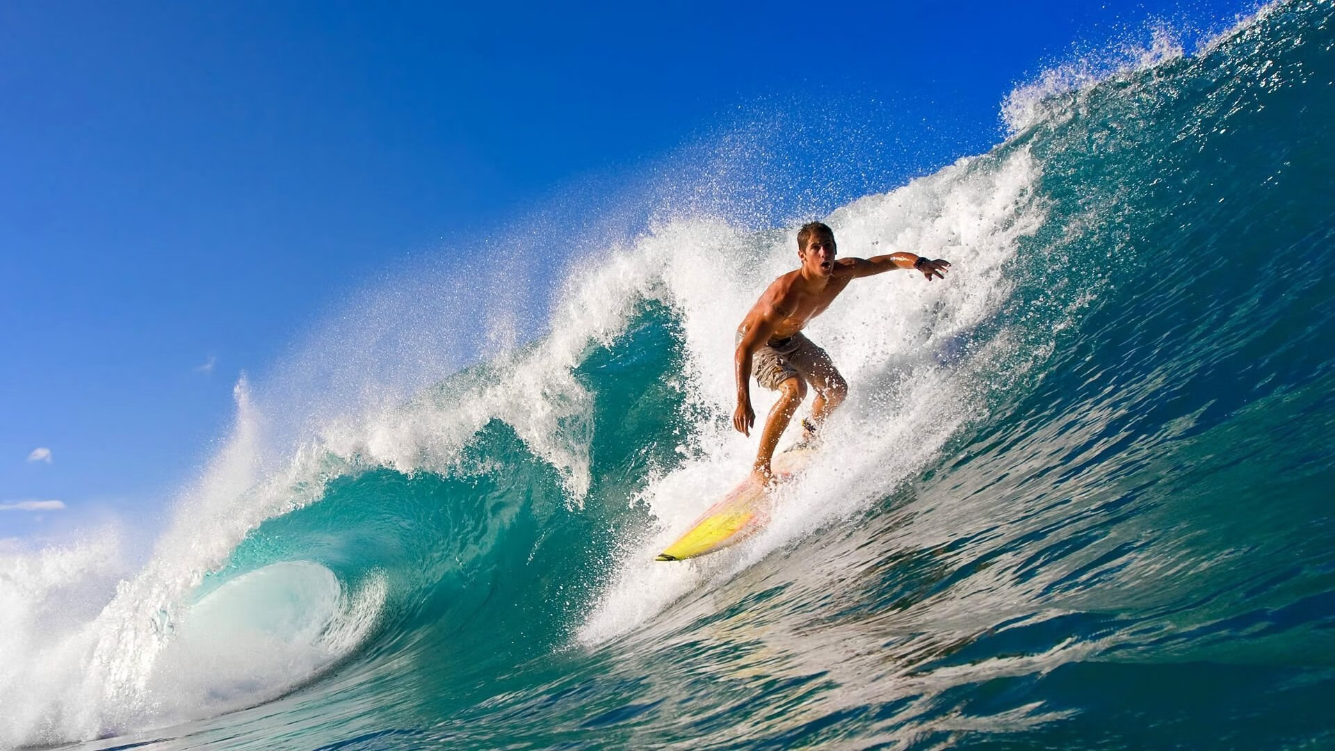 爱游戏官方网站-南非橄榄球赛事的商业化操作促进国际影响力扩张，南非橄榄球冠军