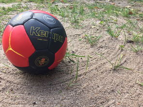 ayx爱游戏官网-安提瓜和巴布达在中美洲锦标赛中夺冠，体育实力不断崛起